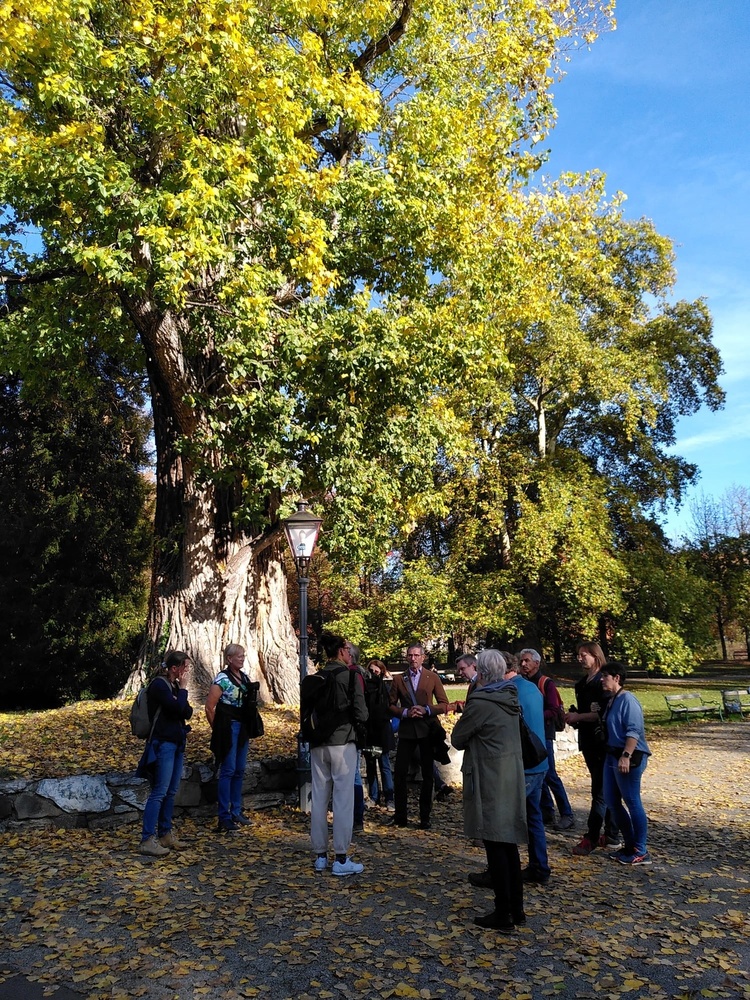 Fotorechte: Elfriede-Maria Reininger